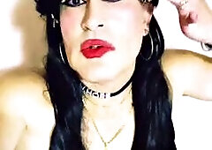 TS ALEXIS NC Gets BRED