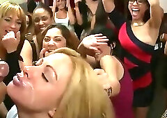 Dancing Bear Facial Compilation