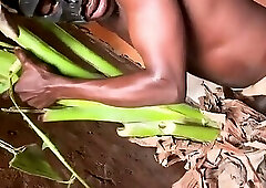 African jujujar bangcum