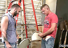 Big cock blowjobs, fuck the gays