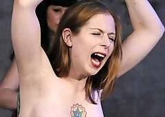 Screams of Leila - Wasteland