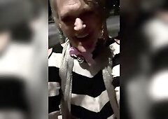 Kitty’s 1st night ever in Provincetown!