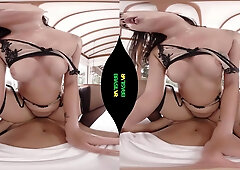 You've Been Serviced - BrasilVR