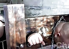 Big, furry bears in a BDSM scene