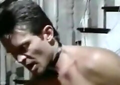 Tiffany Million Orgy w Sean Michaels, Peter North