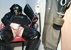 Solo, taste, milking