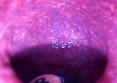 Internal View 8ight Ball In My Ass Pocket