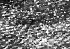 An adorable 2d girl gets holes filled by shemale predators