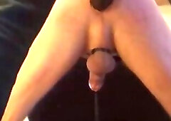 the reward for obedience is bliss