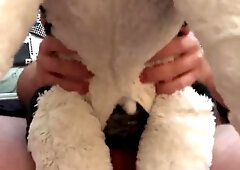 My Daddy Ravaging my Ikea Hunk Plushie and Nutting inwards him