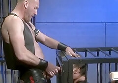 Supremacy, bdsm, charged