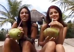 Classico 065: Blowjob, Doggy  Cowgirl Porn