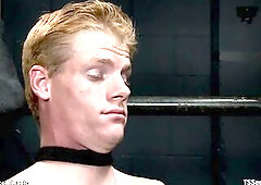 Tall giant breasts brunette hair tranny master Morgan Bailey with tattooed hawt body makes golden-haired serf Vennue Longhorn suck her large dick then