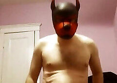 pup fucks himself with dildo FULL