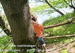 Forest Mushrooms Are Very Tasty