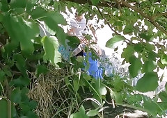 Couple caught having sex in a public park