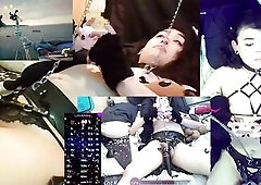 Realm hearts three Cute Trans Catgirl restrained in servitude Gamer Succubus Streams Games Whilst Viewers Control her Sex-toy