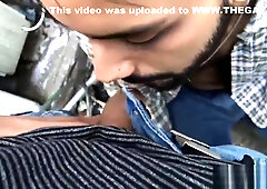 Numero 23 Lost Venezuelan Stud