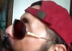 Bezerro carioca mamando os machos 9