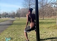 Exhibition (Dvpetea)