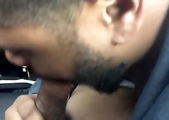 Truck Head in Publix Parking Plenty Of