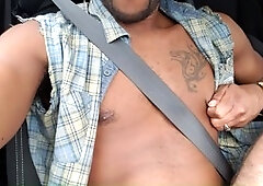 BBC and grizzly bear get each other off in cars