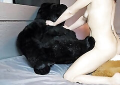 Slutty Gal is Teddy Bear Tag Teamed Sex-toy Riding Pleasure!