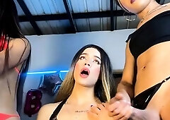 Three horny shemales jerking