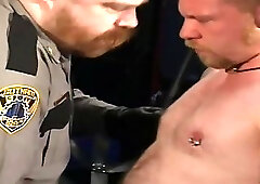 Midnight Growlers - Sling Bears