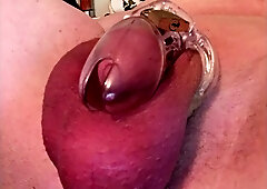 Trixies Random Splendid Pictures