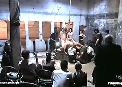 Brunette on a leash assfucking public ravaged