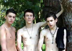 Skinny boys please each other in outdoor anal threesome