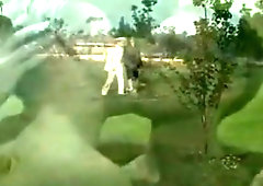 Crazy male in incredible vintage homosexual adult scene