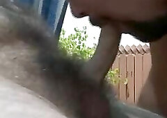 Rocky Mountin' Bears 5