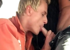 Two Cocks for Blondie: A Road Trip to Remember