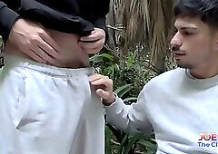 Video 665