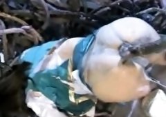 Disgusting Bukkake From Tentacles!