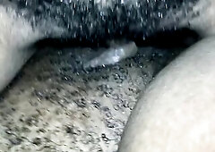 BLACK LESBIAN BABES TRIBBING