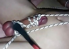 Dude's cock is tied up and slapped by his mistress
