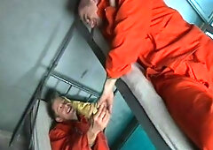 Making Love (and a Mess) Between Concrete and Steel