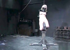 Mellow Lexi Belle featuring real BDSM action