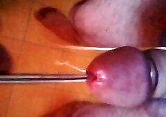 attached testicles and urethral insertion