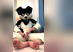Furry Shows Off Feet & Fucks A Plushie