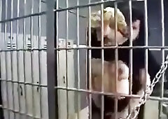 Sex with tranny in a jail