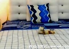 Gorgeous Shemale Masturbating on Cam