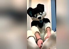 Furry Shows Off Feet & Fucks A Plushie
