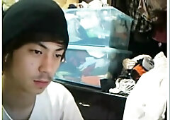 한국 korea korean cam 240