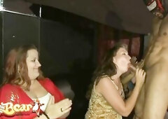 DANCING BEAR - Slutty Chicks Gathered In The Club To Sucked Macho Males's Schlongs
