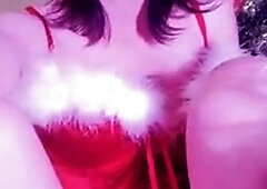 Liyakitten - Christmas Kitty
