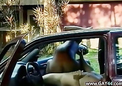 Black bottom licking in the car